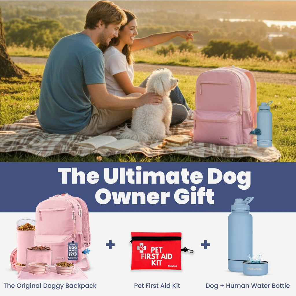 Dog Travel Backpack with Bowls & Food Storage – view 8