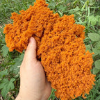 Miniature Bush Foliage Sponge for Dioramas – view 11