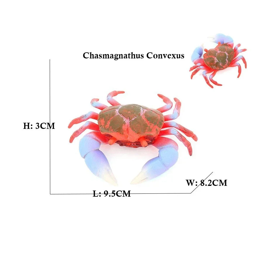 Marine Crab Animal Figurines – view 3