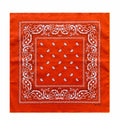 Cotton Paisley Bandana – view 28
