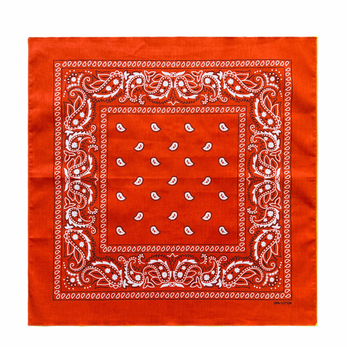 Cotton Paisley Bandana – view 28