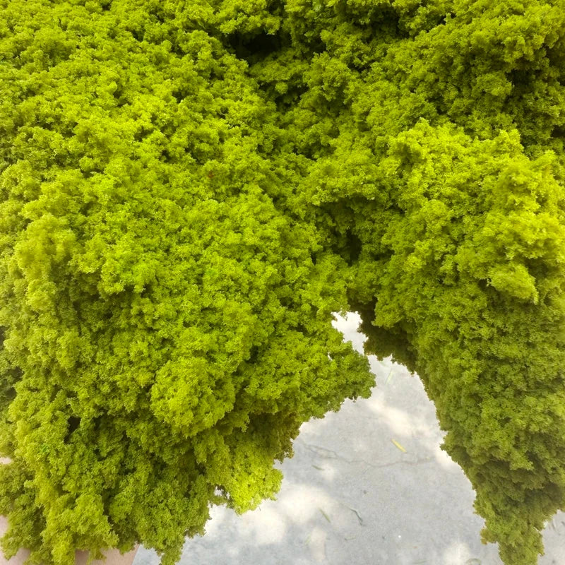 Miniature Bush Foliage Sponge for Dioramas – view 5