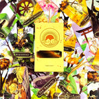Classic Tarot Deck for Family & Party Games – view 2