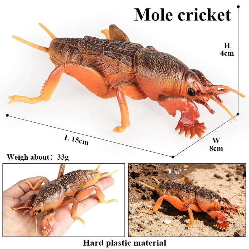 Realistic Insect Figurines Set – view 8