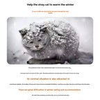 Waterproof Outdoor Cat House – view 3