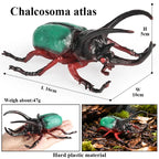 Realistic Insect Figurines Set – view 23