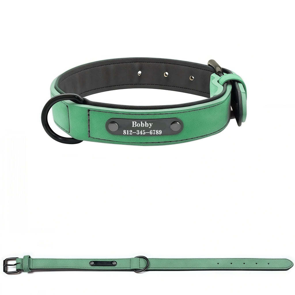 Personalized Leather Dog Collar – view 9