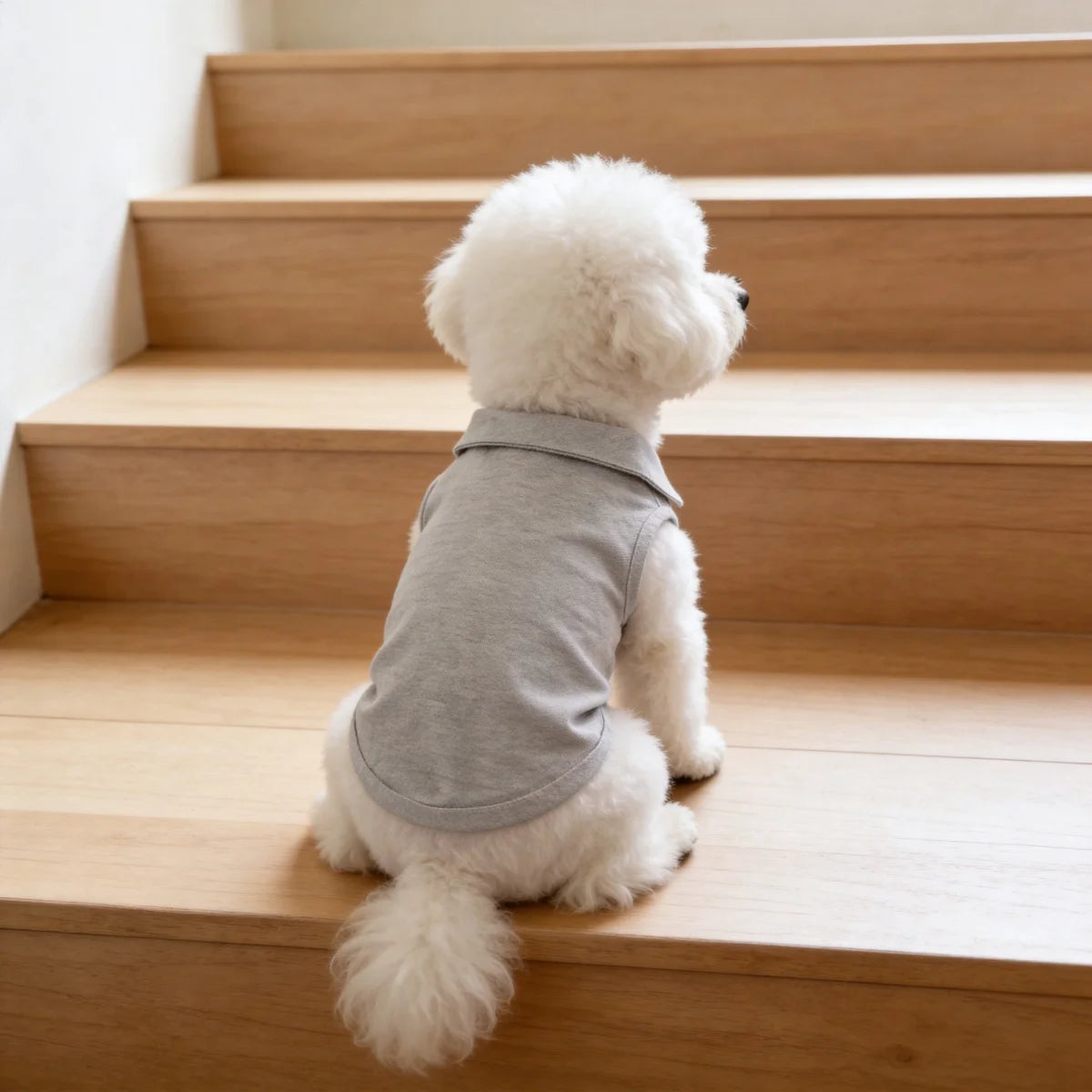 Dog Polo Shirt – view 4
