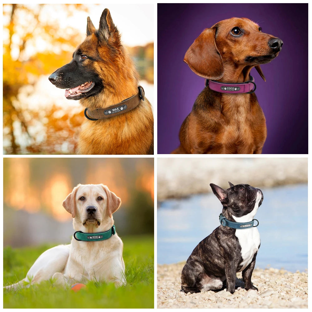 Personalized Leather Dog Collar – view 5