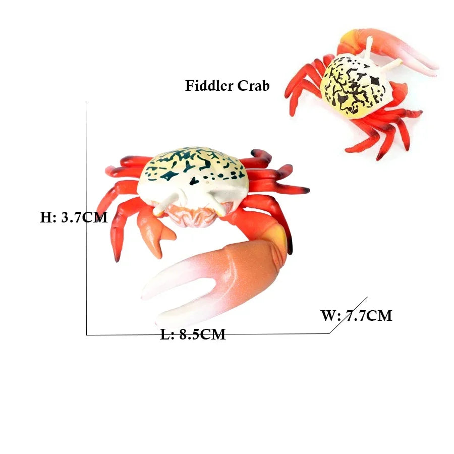 Marine Crab Animal Figurines – view 7