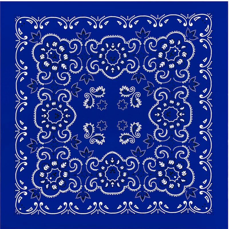 Cotton Paisley Bandana – view 2