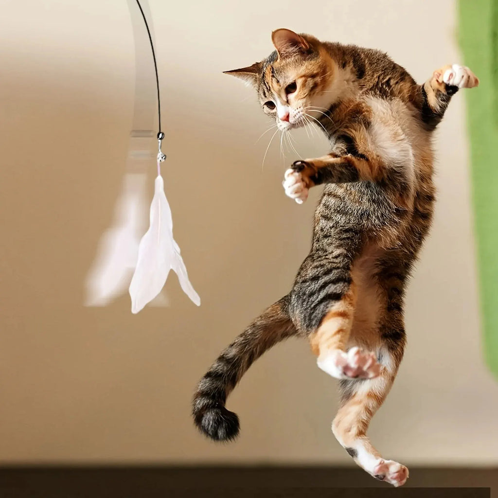 Interactive Cat Teaser Wand with Suction Cup – view 6
