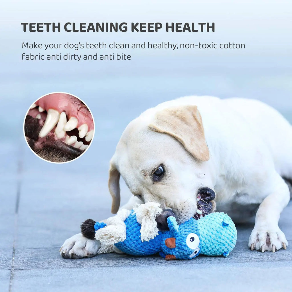 Squeaky Crinkle Plush Dog Toy – view 6
