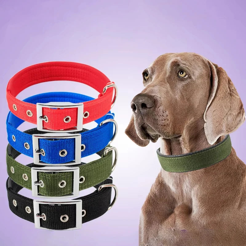 Heavy-Duty Thick Nylon Dog Collar