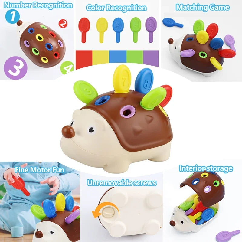 Hedgehog Montessori Fine Motor Toy – view 3