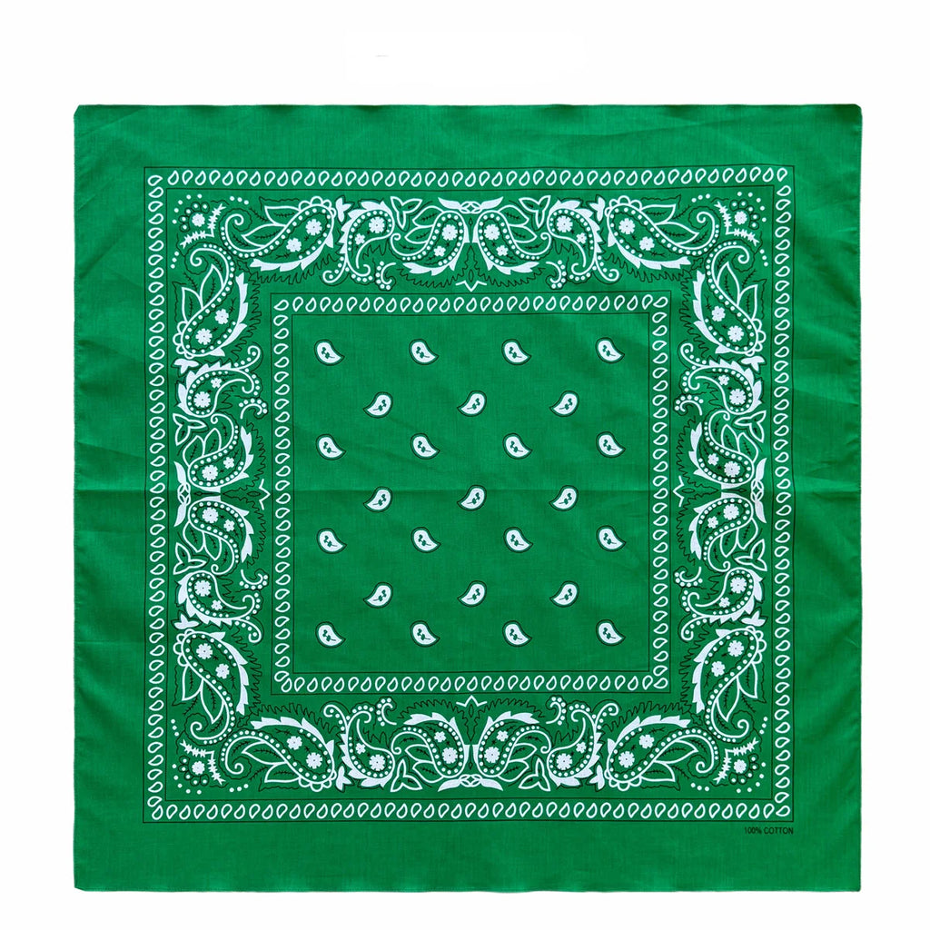 Cotton Paisley Bandana – view 14