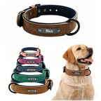 Personalized Leather Dog Collar