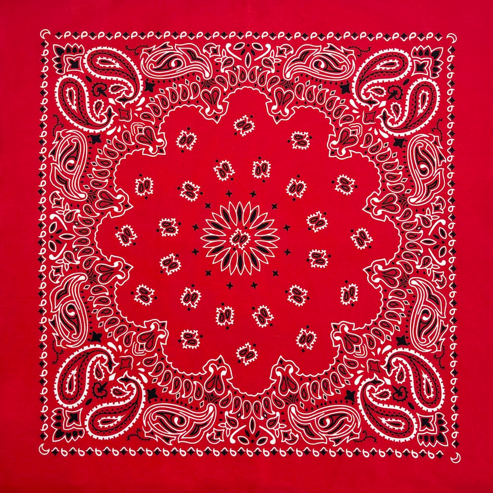 Cotton Paisley Bandana – view 30