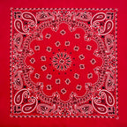 Cotton Paisley Bandana – view 30