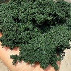 Miniature Bush Foliage Sponge for Dioramas – view 12