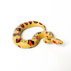 Realistic Reptile Figurines Set – view 5