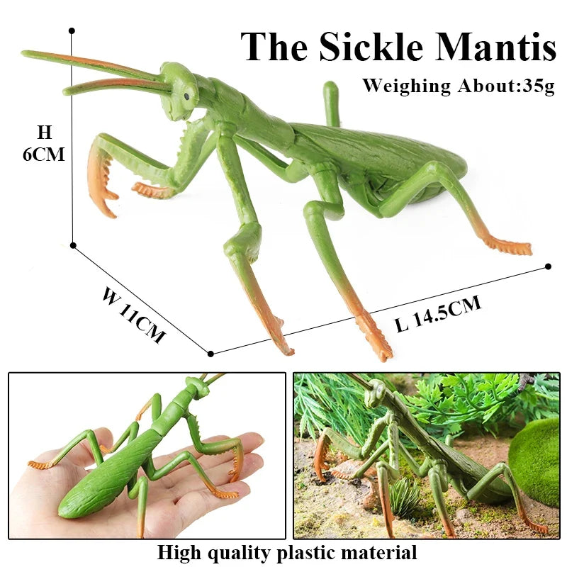 Realistic Insect Figurines Set – view 30