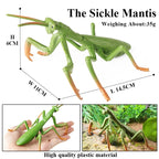 Realistic Insect Figurines Set – view 30