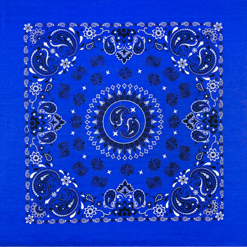 Cotton Paisley Bandana – view 3