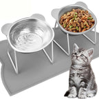 Elevated Tilted Cat Bowl