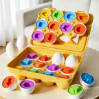 Montessori Smart Egg Shape Matching Toy