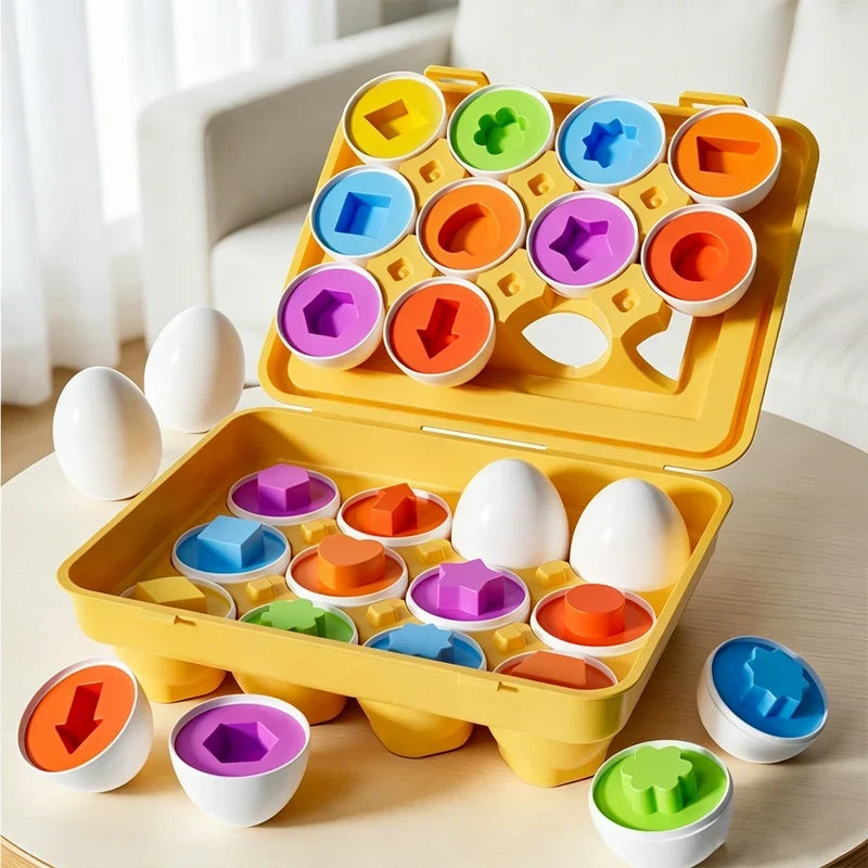Montessori Smart Egg Shape Matching Toy
