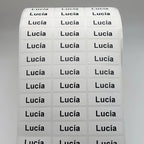 Personalized Waterproof Name Stickers (120PCS)