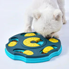Dog Puzzle Slow Feeder Bowl