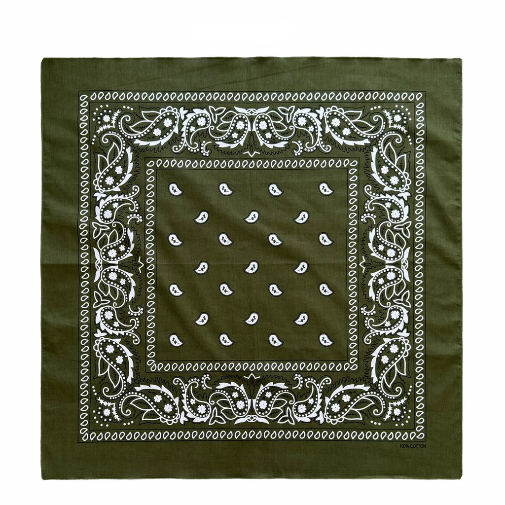 Cotton Paisley Bandana – view 42