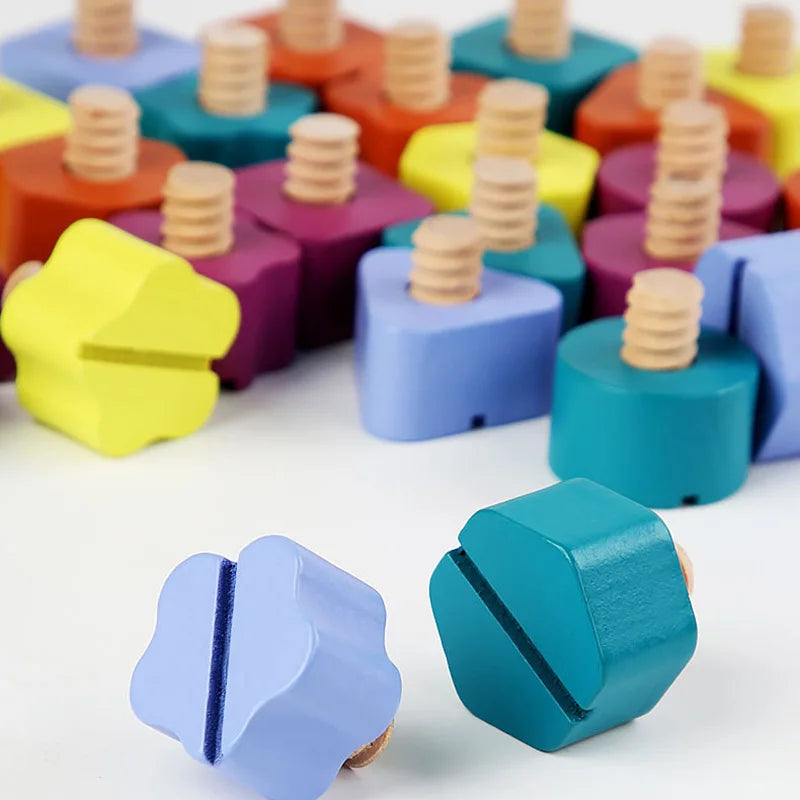 Wooden Nuts & Bolts Matching Game – view 4