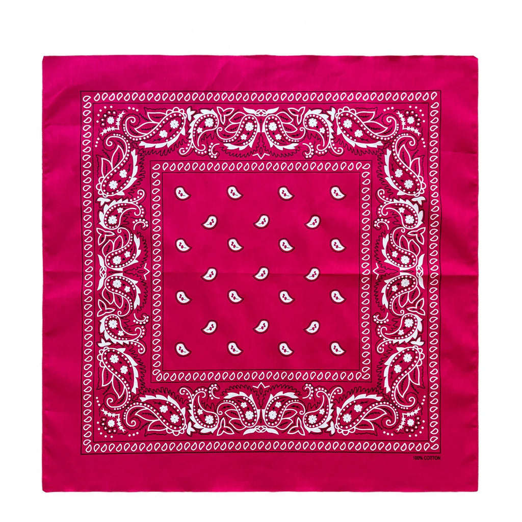 Cotton Paisley Bandana – view 46