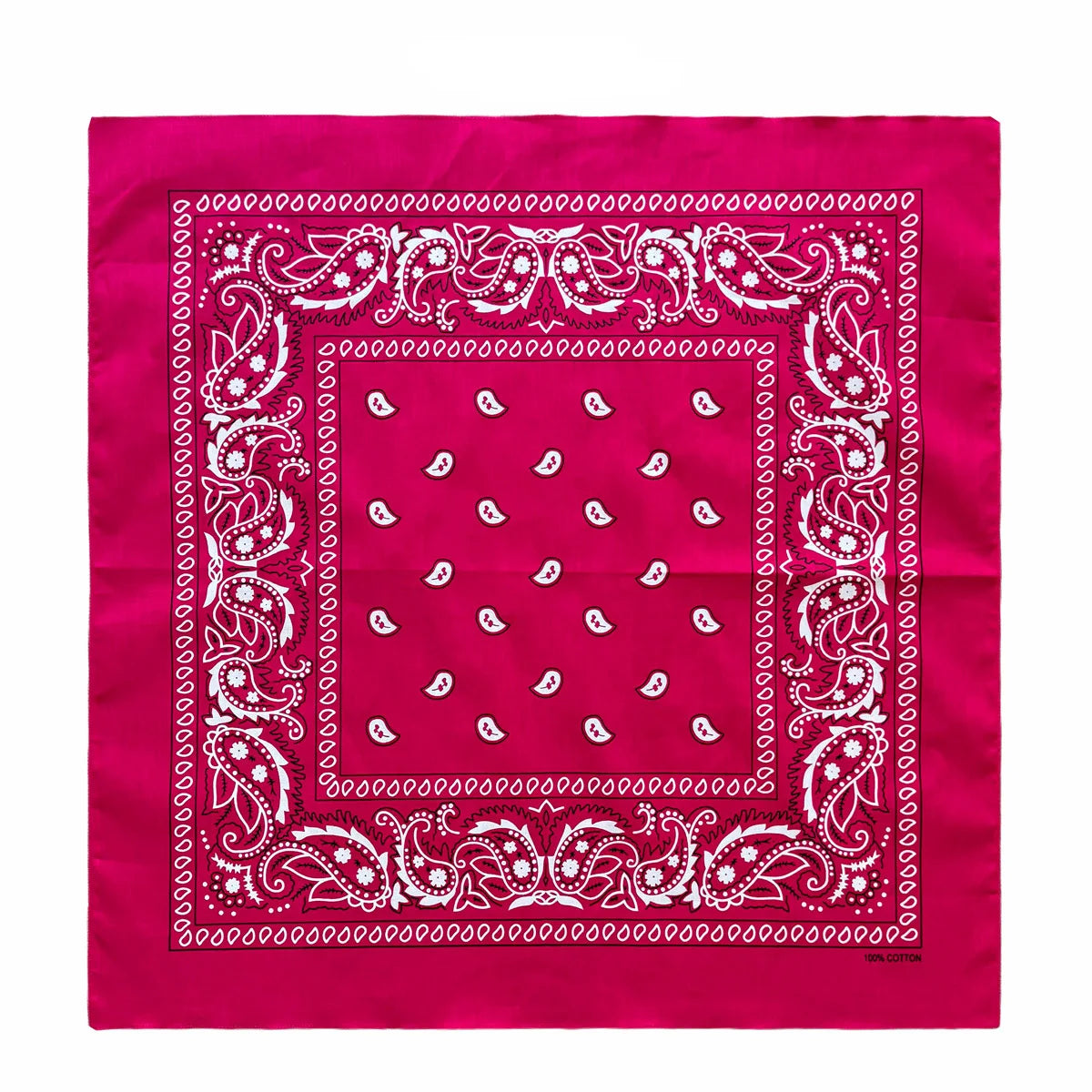 Cotton Paisley Bandana – view 46