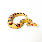 Realistic Reptile Figurines Set – view 29