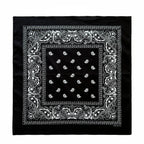 Cotton Paisley Bandana – view 34