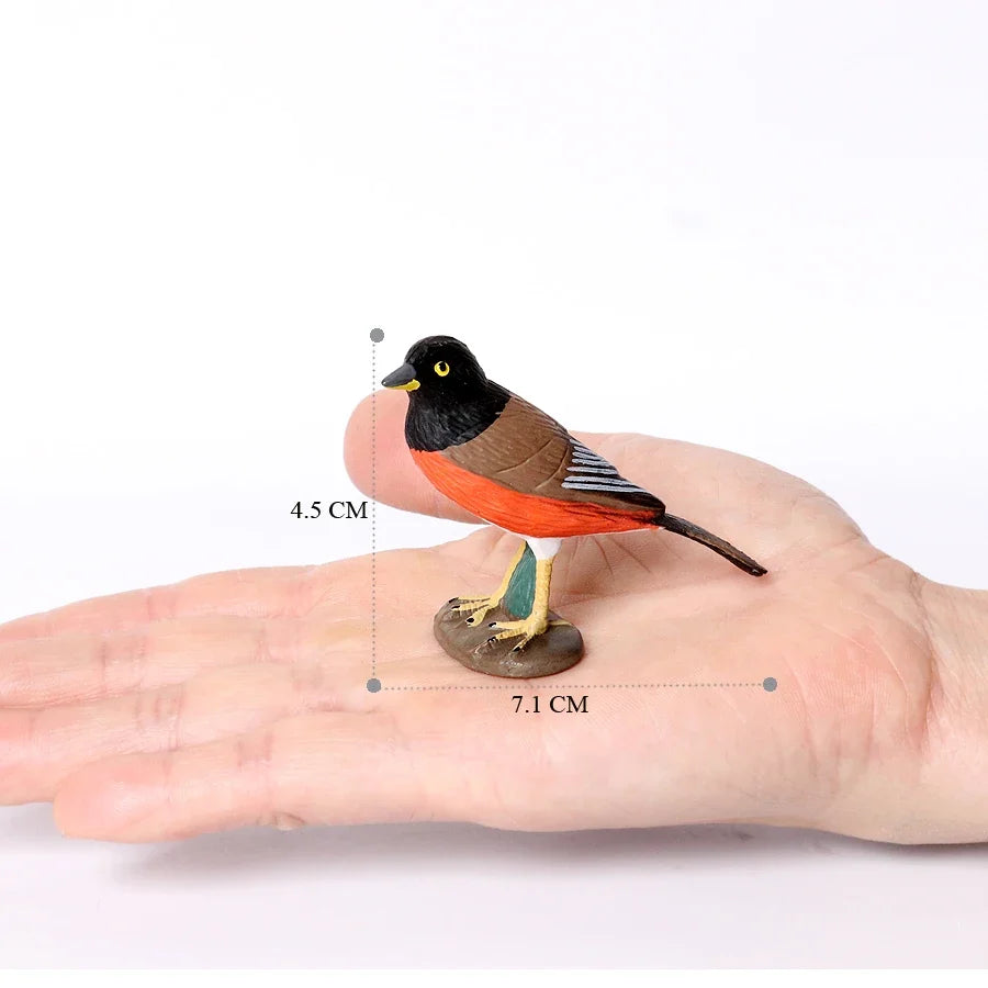 Forest & Exotic Bird Figurine Set – view 17