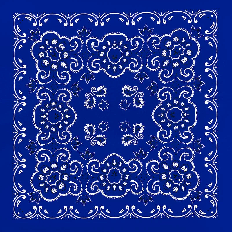 Cotton Paisley Bandana – view 17