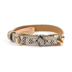 Leopard Print Dog Collar – view 9