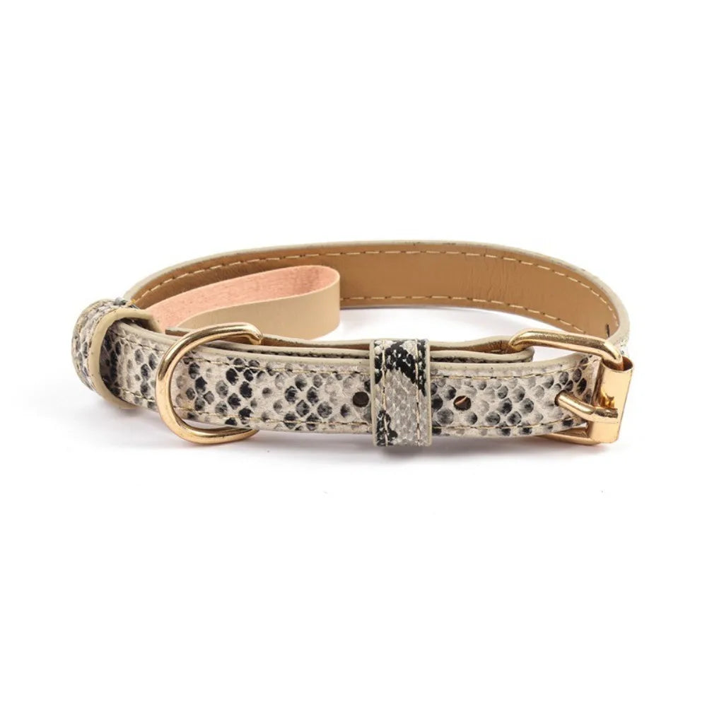 Leopard Print Dog Collar – view 9