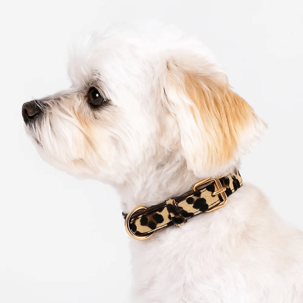 Leopard Print Dog Collar – view 3