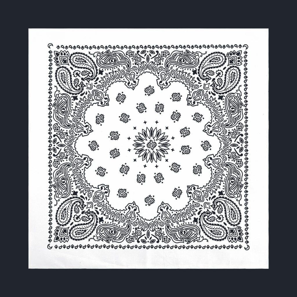 Cotton Paisley Bandana – view 29