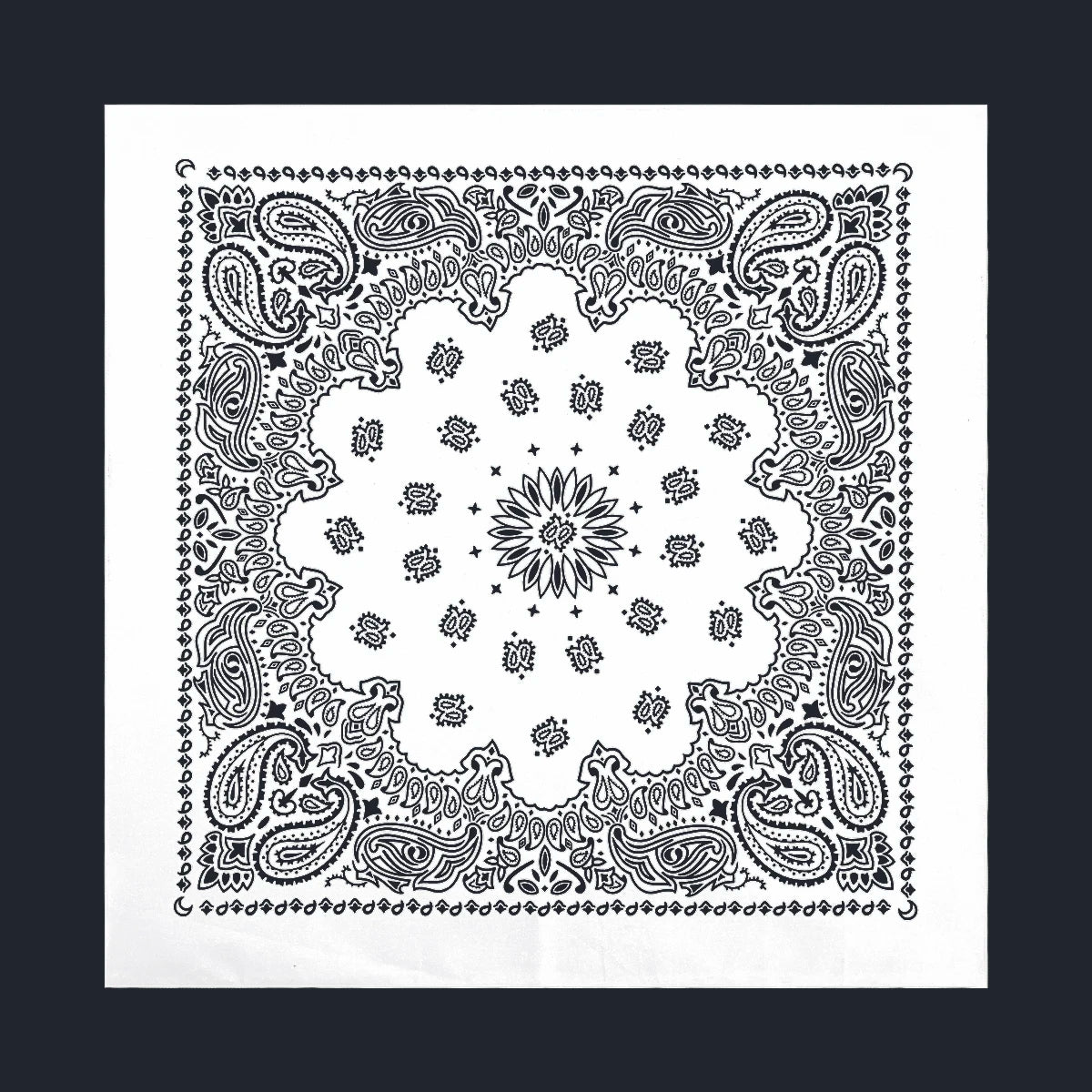 Cotton Paisley Bandana – view 29