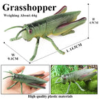 Realistic Insect Figurines Set – view 14