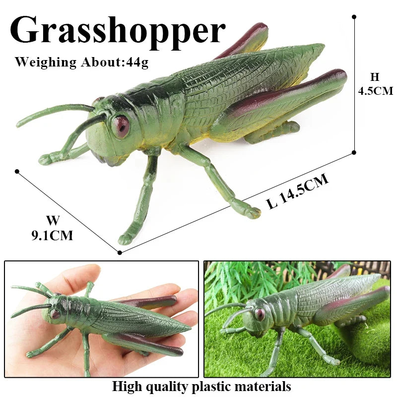 Realistic Insect Figurines Set – view 14