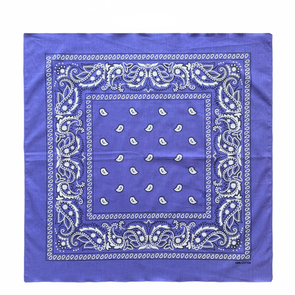 Cotton Paisley Bandana – view 15