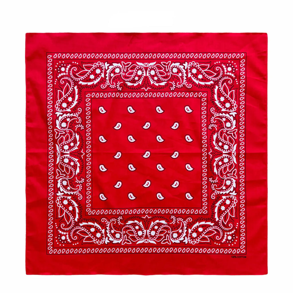 Cotton Paisley Bandana – view 9